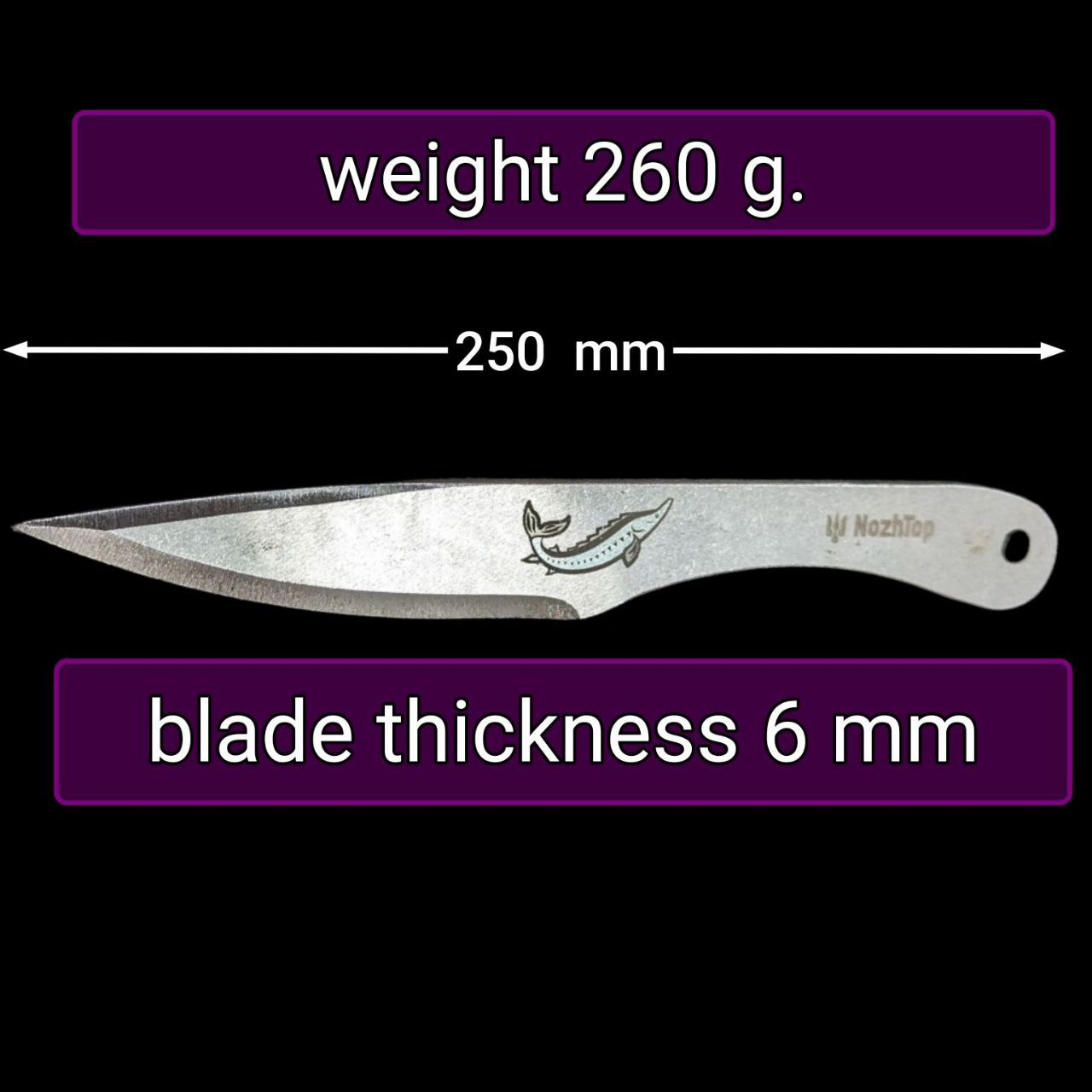 Sturgeon description